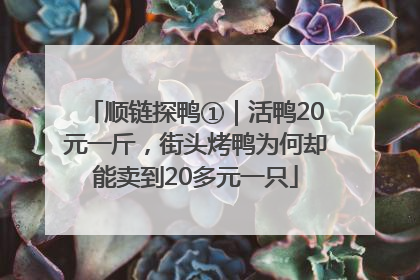 顺链探鸭①｜活鸭20元一斤，街头烤鸭为何却能卖到20多元一只