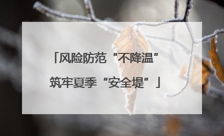 风险防范“不降温” 筑牢夏季“安全堤”