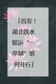 首发！湖北铁水联运“一单制”班列开行