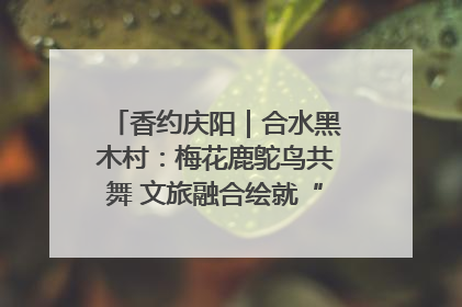 香约庆阳｜合水黑木村：梅花鹿鸵鸟共舞 文旅融合绘就“诗与远方”
