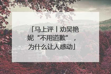 马上评丨劝吴艳妮“不用道歉”，为什么让人感动