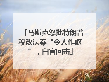 马斯克怒批特朗普税改法案“令人作呕”，白宫回击