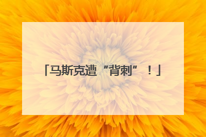 马斯克遭“背刺”！