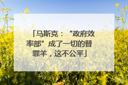 马斯克：“政府效率部”成了一切的替罪羊，这不公平