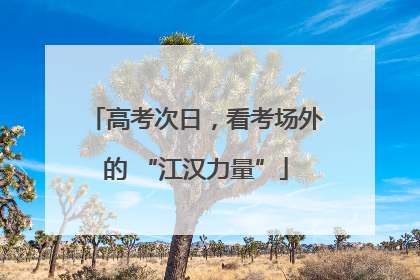 高考次日，看考场外的 “江汉力量”