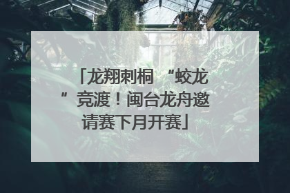 龙翔刺桐 “蛟龙”竞渡！闽台龙舟邀请赛下月开赛