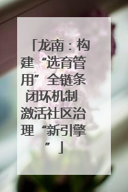 龙南：构建“选育管用”全链条闭环机制 激活社区治理“新引擎”