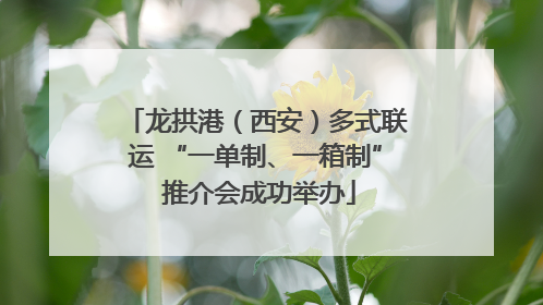 龙拱港（西安）多式联运 “一单制、一箱制” 推介会成功举办