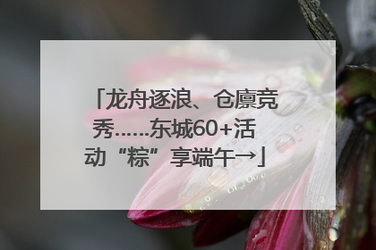 龙舟逐浪、仓廪竞秀……东城60+活动“粽”享端午→