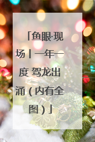 鱼眼·现场丨一年一度 驾龙出涌（内有全图）