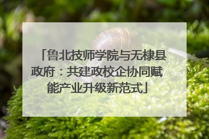 鲁北技师学院与无棣县政府：共建政校企协同赋能产业升级新范式
