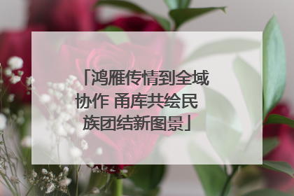 鸿雁传情到全域协作 甬库共绘民族团结新图景