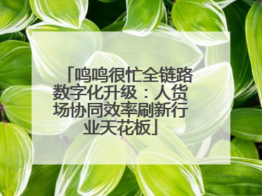 鸣鸣很忙全链路数字化升级：人货场协同效率刷新行业天花板