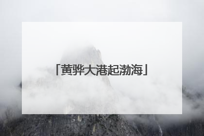 黄骅大港起渤海