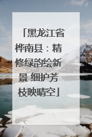 黑龙江省桦南县：精修绿韵绘新景 细护芳枝映晴空