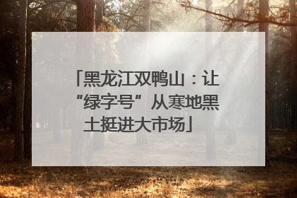 黑龙江双鸭山：让“绿字号”从寒地黑土挺进大市场