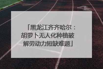 黑龙江齐齐哈尔：胡萝卜无人化种植破解劳动力短缺难题