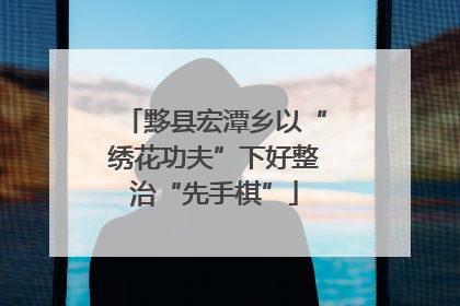 黟县宏潭乡以“绣花功夫”下好整治“先手棋”