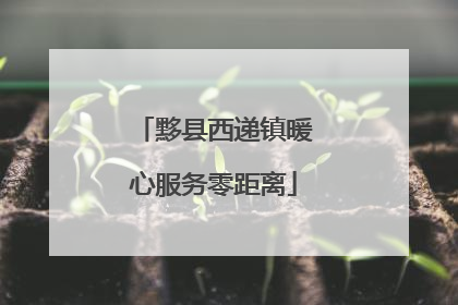 黟县西递镇暖心服务零距离