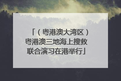 （粤港澳大湾区）粤港澳三地海上搜救联合演习在港举行