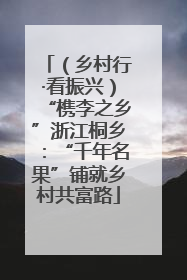 （乡村行·看振兴）“槜李之乡”浙江桐乡：“千年名果”铺就乡村共富路
