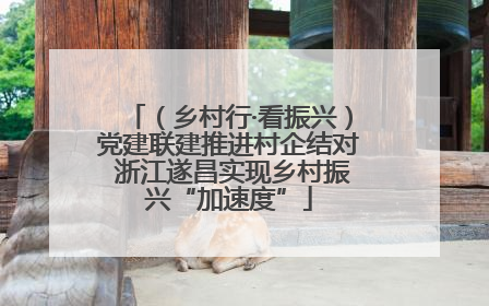 （乡村行·看振兴）党建联建推进村企结对 浙江遂昌实现乡村振兴“加速度”