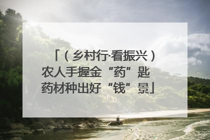 （乡村行·看振兴）农人手握金“药”匙 药材种出好“钱”景