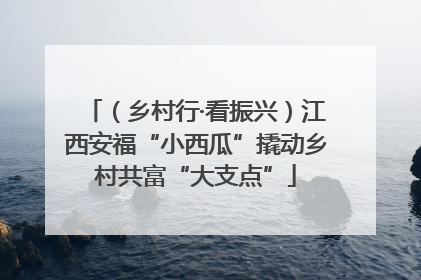 （乡村行·看振兴）江西安福“小西瓜”撬动乡村共富“大支点”