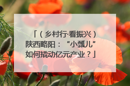 （乡村行·看振兴）陕西略阳：“小瓢儿”如何撬动亿元产业？