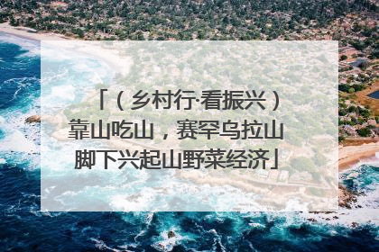 （乡村行·看振兴）靠山吃山，赛罕乌拉山脚下兴起山野菜经济