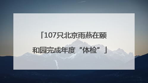 107只北京雨燕在颐和园完成年度“体检”