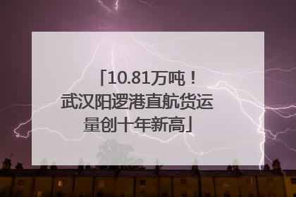 10.81万吨！武汉阳逻港直航货运量创十年新高