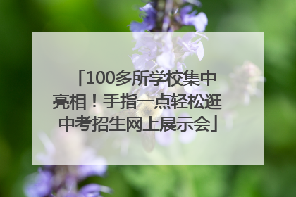 100多所学校集中亮相！手指一点轻松逛中考招生网上展示会