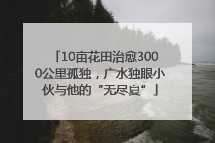 10亩花田治愈3000公里孤独，广水独眼小伙与他的“无尽夏”
