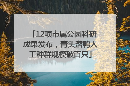 12项市属公园科研成果发布，青头潜鸭人工种群规模破百只