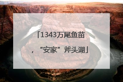 1343万尾鱼苗，“安家”斧头湖