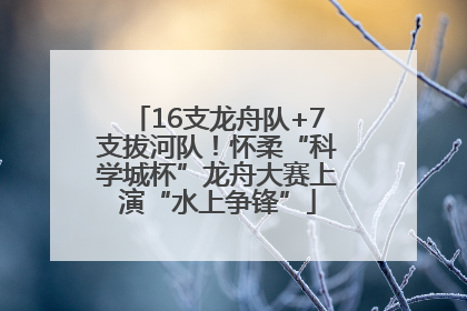 16支龙舟队+7支拔河队！怀柔“科学城杯”龙舟大赛上演“水上争锋”