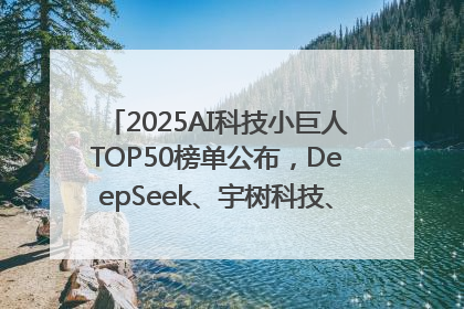 2025AI科技小巨人TOP50榜单公布，DeepSeek、宇树科技、蘑菇车联等企业荣誉上榜