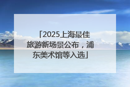 2025上海最佳旅游新场景公布，浦东美术馆等入选