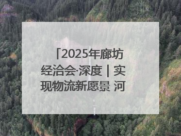 2025年廊坊经洽会·深度｜实现物流新愿景 河北再出发