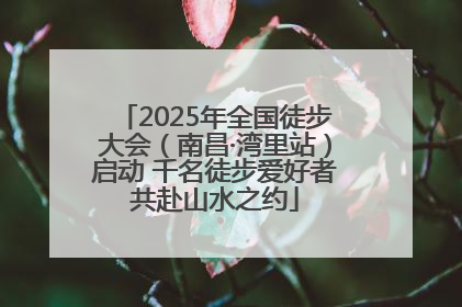 2025年全国徒步大会（南昌·湾里站）启动 千名徒步爱好者共赴山水之约