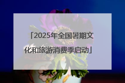 2025年全国暑期文化和旅游消费季启动