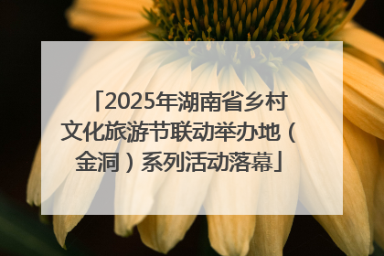 2025年湖南省乡村文化旅游节联动举办地（金洞）系列活动落幕
