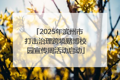 2025年滨州市打击治理跨境赌博校园宣传周活动启动