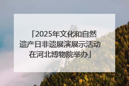 2025年文化和自然遗产日非遗展演展示活动在河北博物院举办