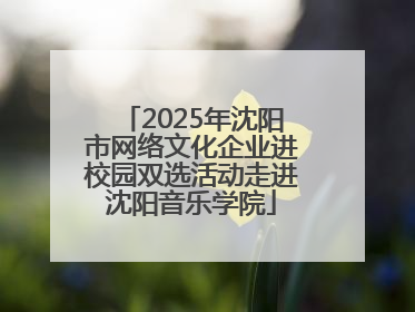 2025年沈阳市网络文化企业进校园双选活动走进沈阳音乐学院