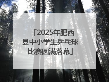 2025年肥西县中小学生乒乓球比赛圆满落幕