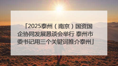 2025泰州（南京）国资国企协同发展恳谈会举行 泰州市委书记用三个关键词推介泰州