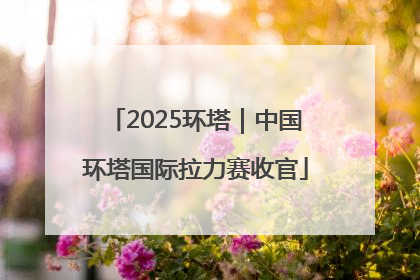 2025环塔｜中国环塔国际拉力赛收官