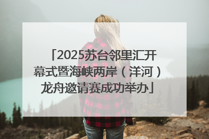 2025苏台邻里汇开幕式暨海峡两岸（洋河）龙舟邀请赛成功举办